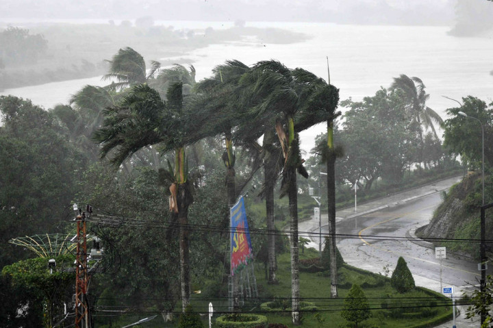 Angin kencang yang dibawa topan Molave menghantam pohon kelapa di Provinsi Quang Ngai, Vietnam tengah pada Rabu, 28 Oktober 2020.