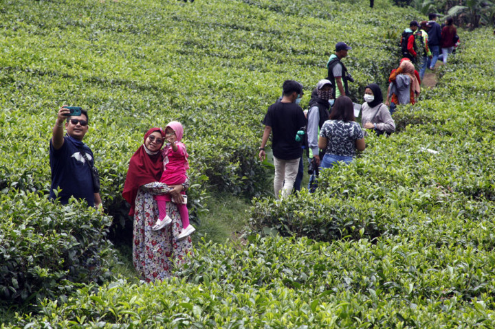 Warga menikmati kesejukan di kawasan wisata Kebun Teh Puncak, Kabupaten Bogor, Jawa Barat, Sabtu, 31 Oktober 2020. Kawasan wisata Kebun Teh Puncak ramai dikunjungi wisatawan saat libur cuti bersama dan Maulid Nabi Muhammad SAW meskipun masih dalam masa pandemi covid-19. ANTARA FOTO/Yulius Satria Wijaya