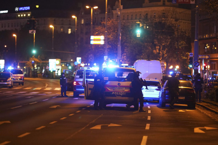 Motif penembakan belum diketahui, namun Kanselir Austria Sebastian Kurz menyebut peristiwa tersebut sebagai serangan teror yang menjijikkan.