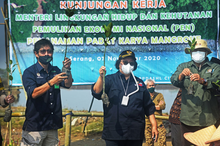 Menteri Lingkungan Hidup dan Kehutanan Siti Nurbaya (tengah) didampingi Kepala Balai Pengelolaan Daerah Aliran Sungai dan Hutan Lindung Pina Ekalipta (kiri) dan aktivis lingkungan Sucipto (kanan) bersiap menanam benih pohon bakau saat acara Penaman Mangrove Padat Karya di perairan Teluk Banten, Lontar, Serang, Sabtu, 7 November 2020.