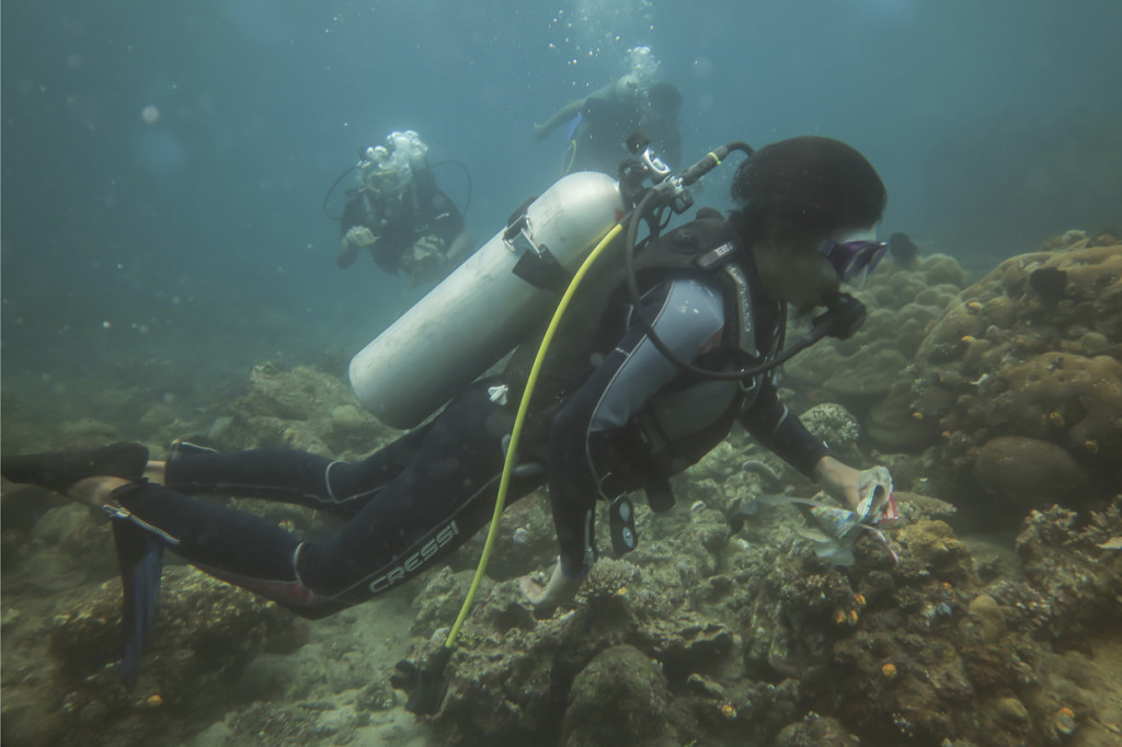 Aksi bersih laut tersebut dilakukan dalam rangka peringatan Hari Pahlawan. 