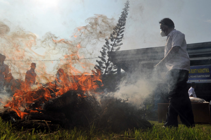BNNP Sumbar memusnahkan narkotika jenis ganja yang peredarannya dikoordinir seorang narapidana di Lapas Pariaman, dengan barang bukti paket besar ganja kering sebanyak 53,1 kilogram diamankan dari Kabupaten Sijunjung dan Kabupaten Agam.