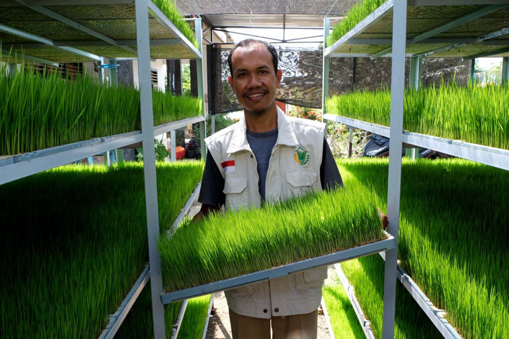 Ketua Badan Usaha Milik Desa (Bumdes) Mansur menunjukkan benih padi yang ia semai untuk kemudian dijual secara online memanfaatkan jaringan layanan internet di Kantor Desa Kalimantong, Brang Ene, Sumbawa Barat, Nusa Tenggara Barat.