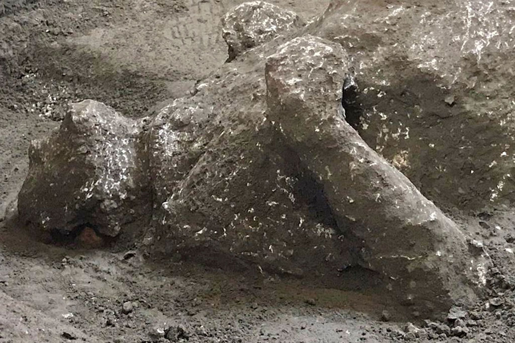 Kedua kerangka itu ditemukan selama penggalian yang sedang berlangsung di Civita Giuliana, sekitar 700 meter barat laut Pompeii, di sebuah vila yang menghadap ke Teluk Napoli di mana sebelumnya sebuah kandang dan sisa-sisa tiga kuda yang diikat telah ditemukan.