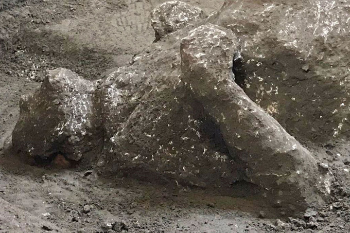 Kedua kerangka itu ditemukan selama penggalian yang sedang berlangsung di Civita Giuliana, sekitar 700 meter barat laut Pompeii, di sebuah vila yang menghadap ke Teluk Napoli di mana sebelumnya sebuah kandang dan sisa-sisa tiga kuda yang diikat telah ditemukan.