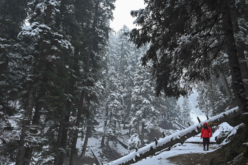 Musim dingin dan hujan salju mulai menyapa kawasan Kashmir.
