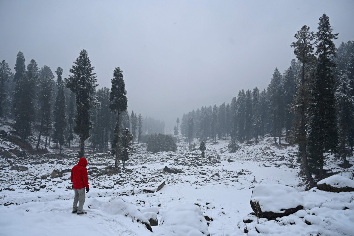 Hujan salju pertama di musim ini turun pada Senin, 23 November 2020, waktu setempat.
