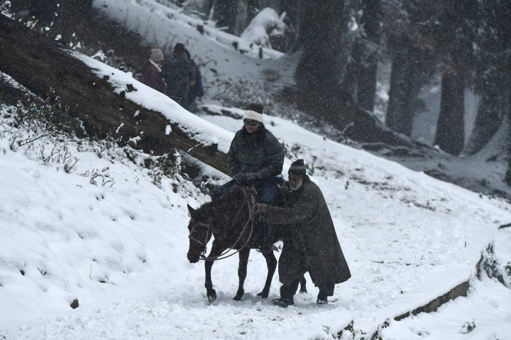 Sejumlah turis juga menikmati hujan salju di Yusmarg, Kashmir, 55 kilometer dari Srinagar.