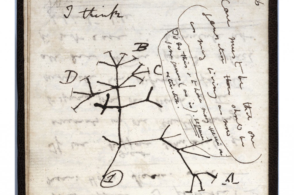 Dua buku catatan ilmuwan Inggris, Charles Darwin yang berisi gagasan rintisannya tentang evolusi dan sketsa