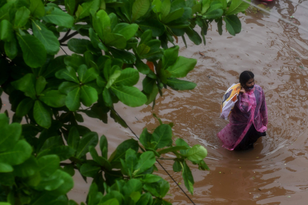 Media lokal India melaporkan, sedikitnya lima warga meninggal dunia di Chennai disebabkan tertimpa pohon tumbang, tenggelam dan tersengat listrik.