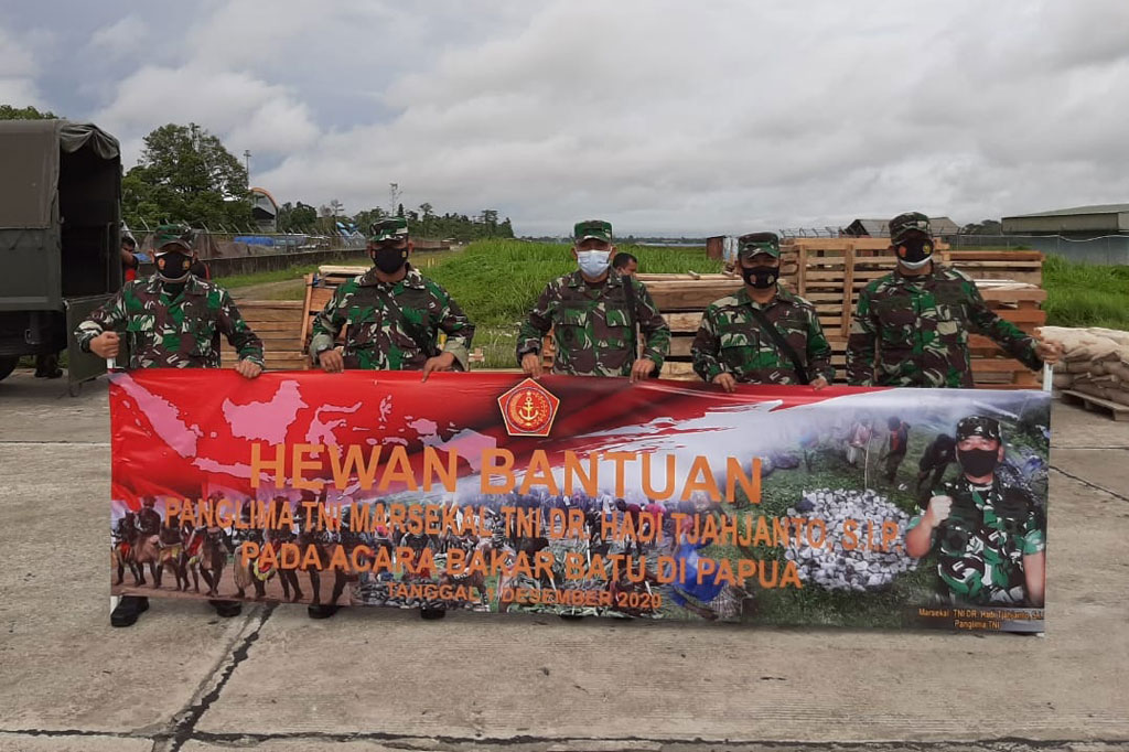 Panglima TNI Marsekal Hadi Tjahjanto memberikan bantuan 59 ekor babi hutan untuk masyarakat Papua. Puluhan babi hutan tersebut akan digunakan untuk upacara adat bakar batu di Papua.