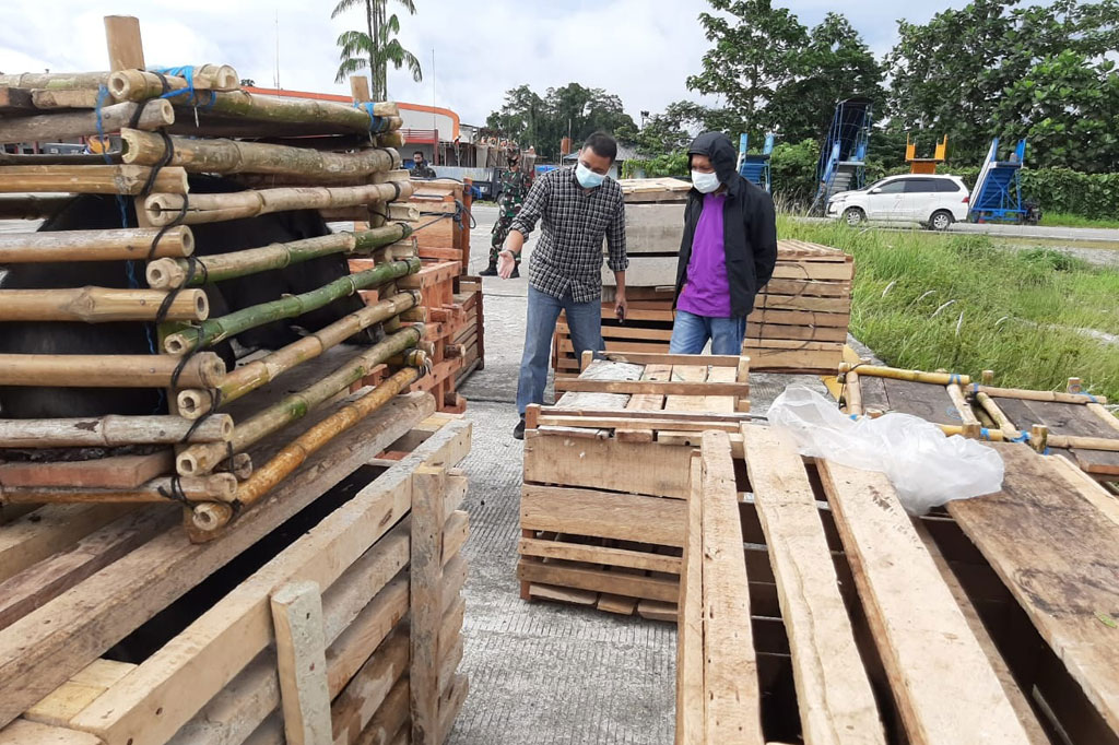 Penyerahan bantuan tersebut dilakukan oleh Aspotwil Kaskogabwilhan III Brigjen Dadang Rukhiyana kepada kepala suku di beberapa wilayah seperti  Wamena, Sugapa, Ilaga, Puncak Jaya, dan Timika.