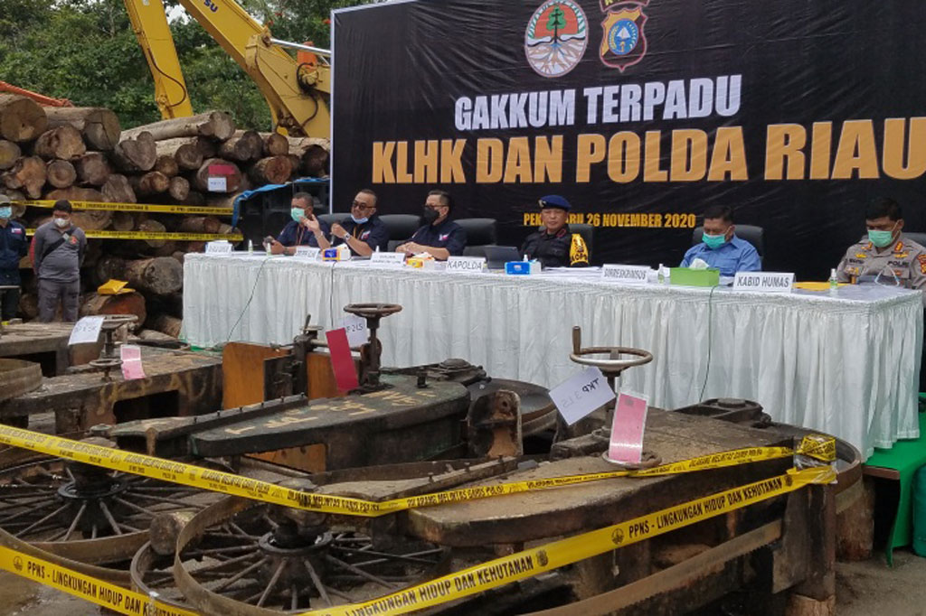 Petugas menggelar konferensi pers terkait operasi terharap pembalakan liar di Suaka Margasatwa Rimbang Baling di Kabupaten Kampar, Riau, Kamis, 26 November 2020.