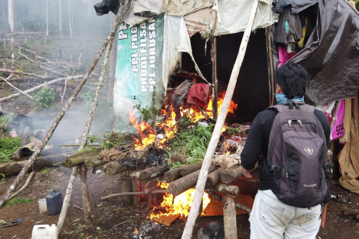 Jajaran Satres Narkoba Polres Empat Lawang, Sumatera Selatan, menemukan lahan ganja berisi ratusan pohon tanaman ganja. Seorang penjaga lahan diamankan untuk pemeriksaan lebih lanjut.