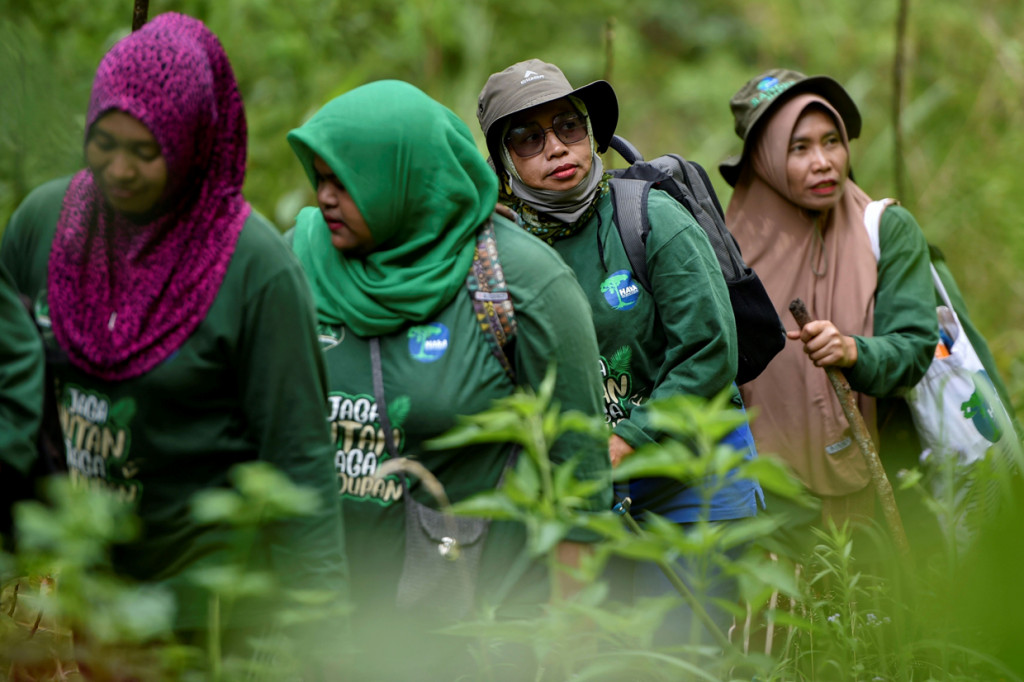 Sekelompok ibu di Kabupaten Bener Meriah, Aceh menjadi penjaga hutan alias ranger. Mereka berpatroli keluar masuk hutan, menghadapi para perambah hutan, dan pelaku penebangan liar.
