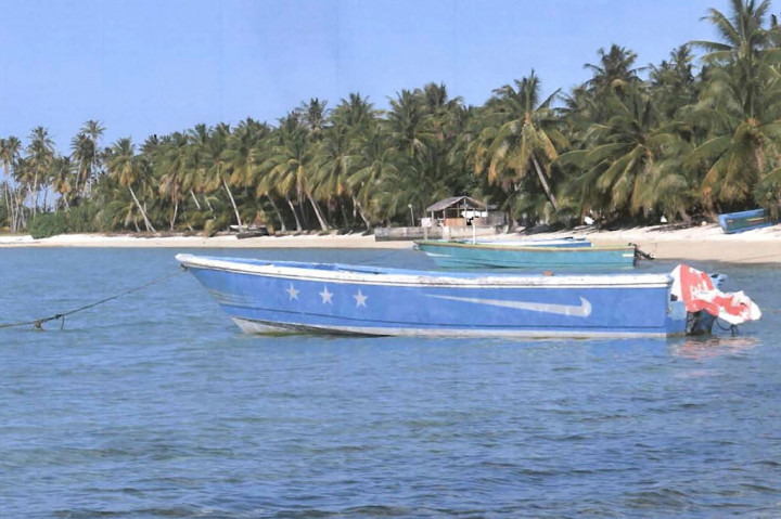 
Hickson mengatakan kapal itu kemungkinan besar terombang-ambing melintasi Pasifik dari Amerika Tengah atau Selatan. 