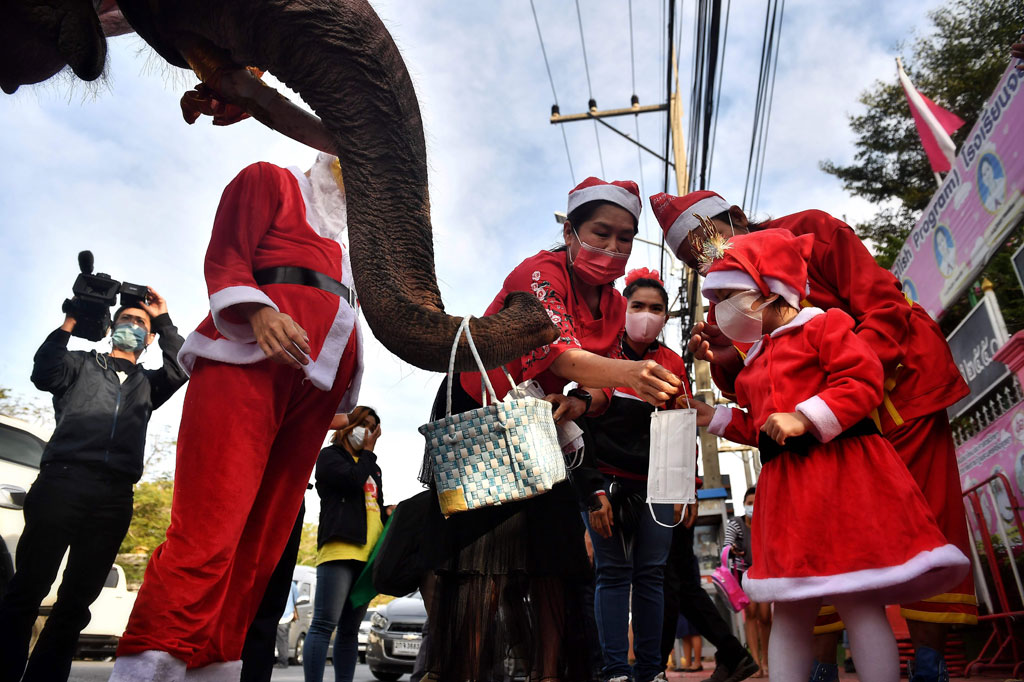 Guru bahasa Inggris dan sains Brett Baxter mengatakan acara tersebut membawa semacam semangat Natal yang dipadukan dengan cita rasa Thailand. 