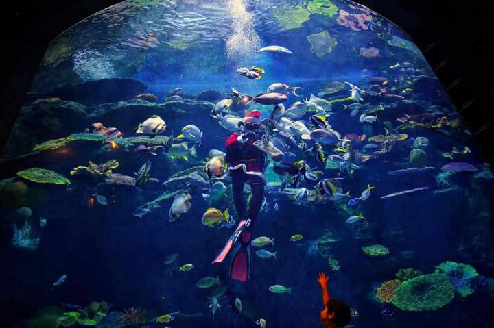 Anak-anak meloncat kegirangan, terkesima melihat topi Sinterklas yang melambai terkena arus air saat ia berenang.