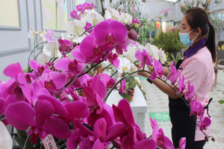 Wahana wisata yang dibuka selama masa pandemi covid-19 itu menghadirkan wisata bunga yang eksotis langka serta buah subtropika dan beragam serangga.