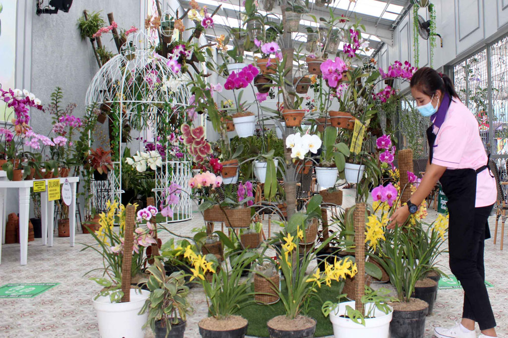 Titik menjelaskan wisatawan bisa berwisata sembari meningkatkan daya imun. Di wahana wisata ini dilengkapi arena bermain, kawasan buah, tanaman berkhasiat obat dan gratis minum jamu, serta ada hidroponik, wahana serangga, dan berbagai jenis bunga.