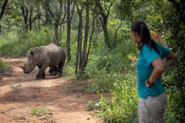 Lokasi panti suaka ini betul-betul dirahasiakan untuk melindungi mereka dari pemburu liar.