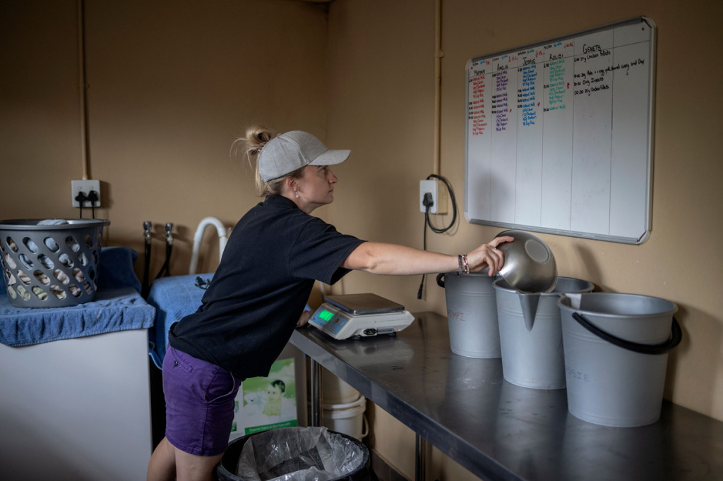 Para pengasuh dan relawan tinggal bersama anak badak yang mereka rawat.
