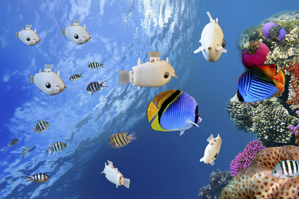 Terinspirasi oleh bagaimana kelompok ikan secara intuitif menyinkronkan gerakan mereka, para ilmuwan Harvard telah merekayasa miniatur robot bawah air yang mampu membentuk kawanan otonom.