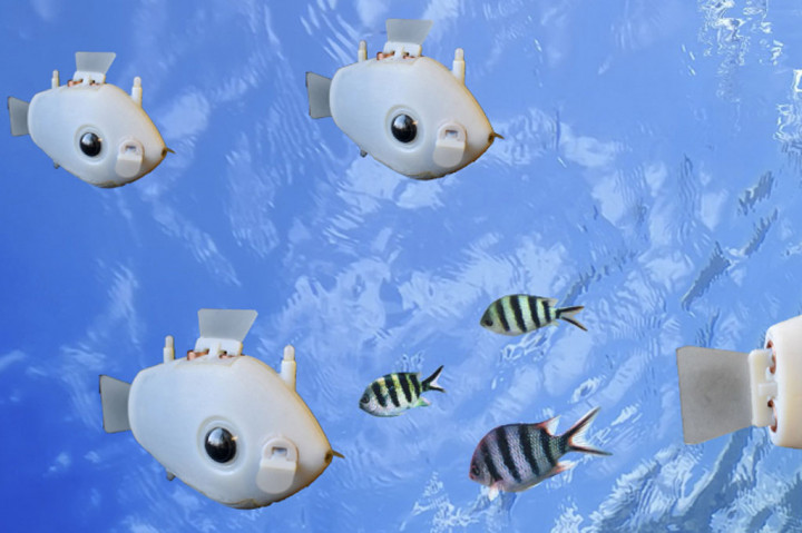 Setiap robot ikan, yang dikenal sebagai 'Bluebot', dilengkapi dengan kamera dan lampu LED biru yang mendeteksi arah dan jarak satu sama lain di dalam tangki air. Mereka berenang menggunakan sirip yang mengepak daripada baling-baling, yang meningkatkan efisiensi dan kemampuan manuver mereka dibandingkan dengan drone bawah air standar.