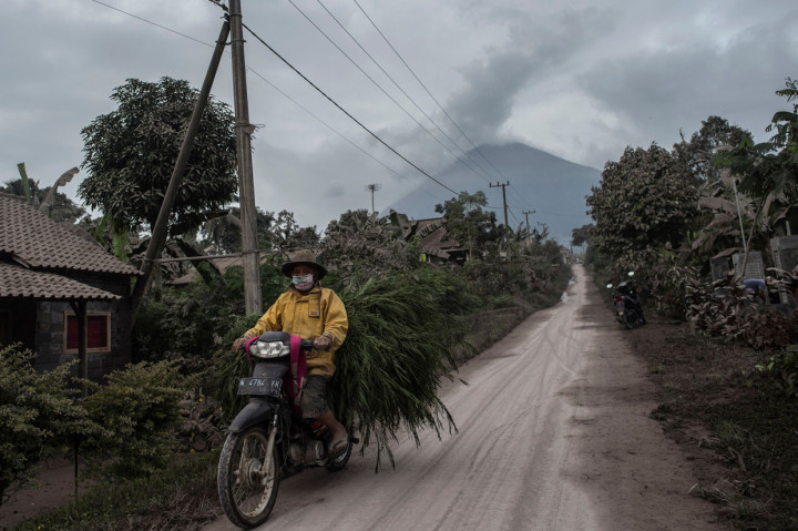 Sebanyak lima kecamatan di Kabupaten Lumajang, Jawa Timur terdampak hujan abu vulkanik Gunung Semeru usai erupsi dan meluncurkan awan panas guguran sejauh empat kilometer sejak Sabtu, 16 Januari 2021.