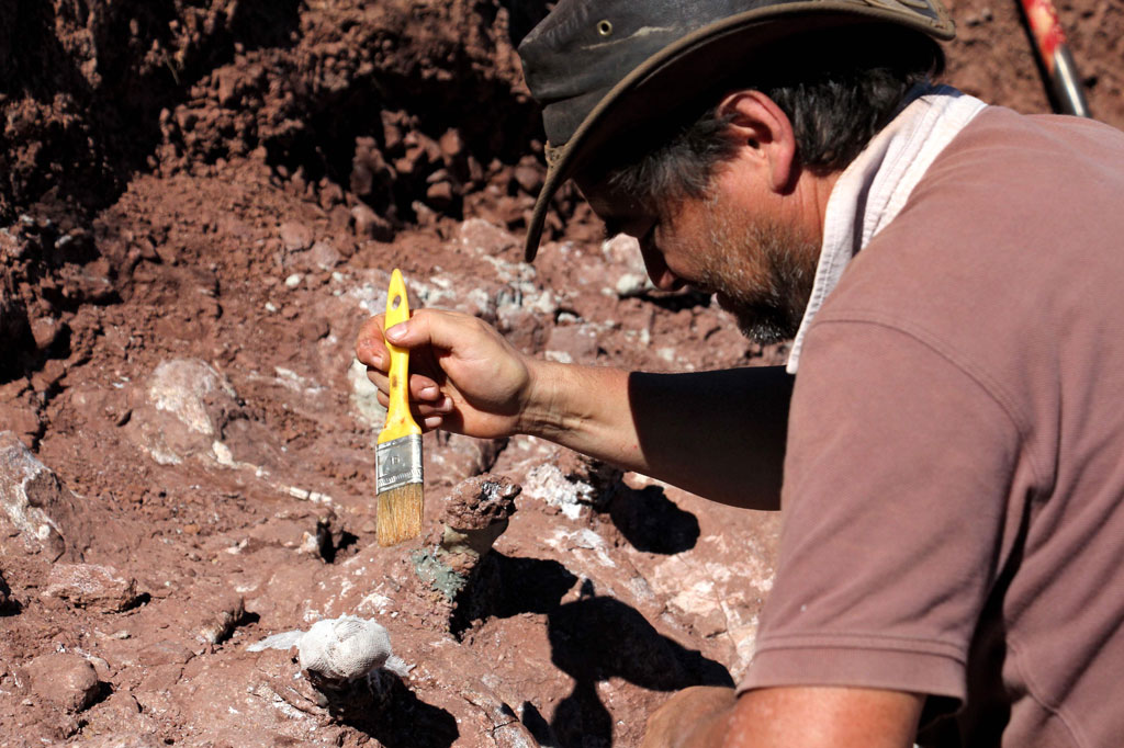 Ahli geologi Alberto Garrido, direktur Museum Ilmu Pengetahuan Alam Zapala menambahkan bahwa kerangka besar itu ditemukan di lapisan batu yang berasal dari sekitar 98 juta tahun lalu selama periode Kapur Atas.