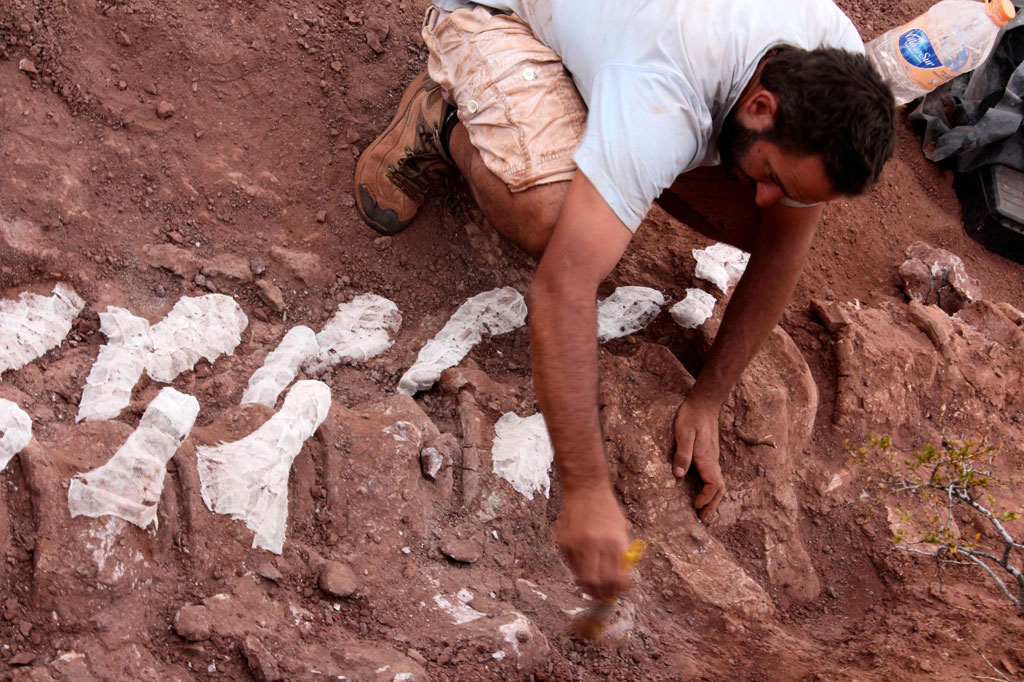 Pencarian lebih banyak bagian tubuh, terkubur jauh di dalam batu, terus berlanjut. Bagi para ilmuwan, cawan suci adalah tulang femur atau humerus yang besar, yang berguna untuk memperkirakan massa tubuh makhluk yang sudah lama punah.