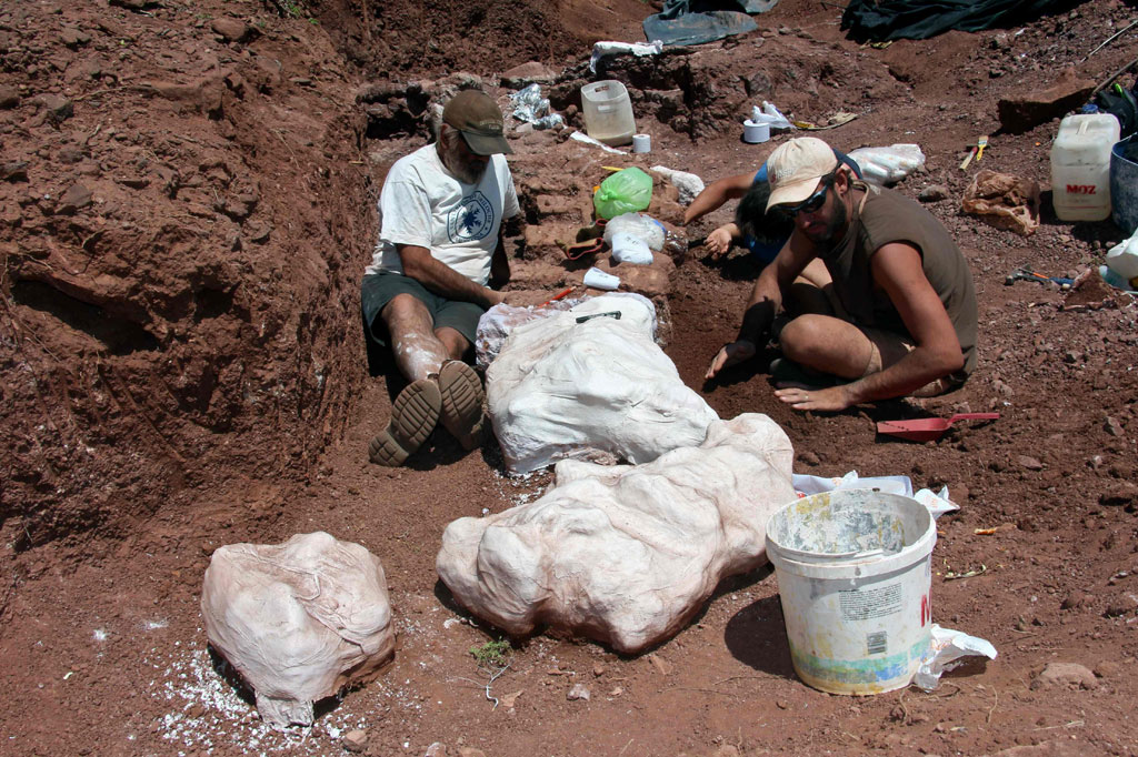 Para ilmuwan telah menemukan sisa-sisa fosil raksasa berusia 98 juta tahun di barat daya Argentina. Mereka menyatakan bahwa fosil tersebut kemungkinan merupakan milik dinosaurus terbesar yang pernah ditemukan.