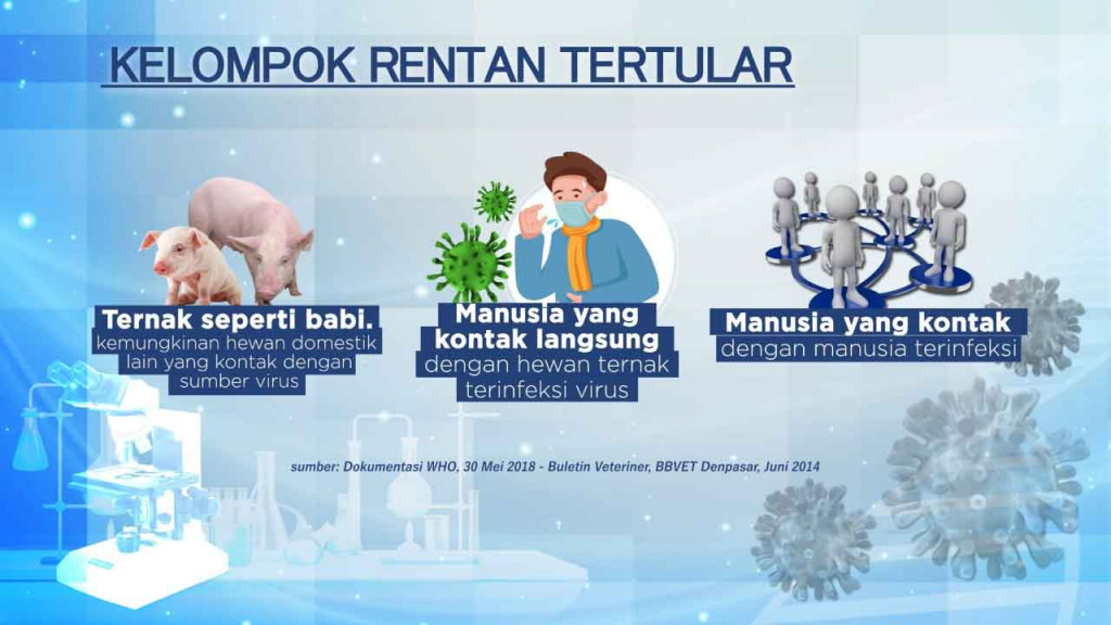 Virus Nipah, Ancaman Baru Setelah Pandemi Covid-19