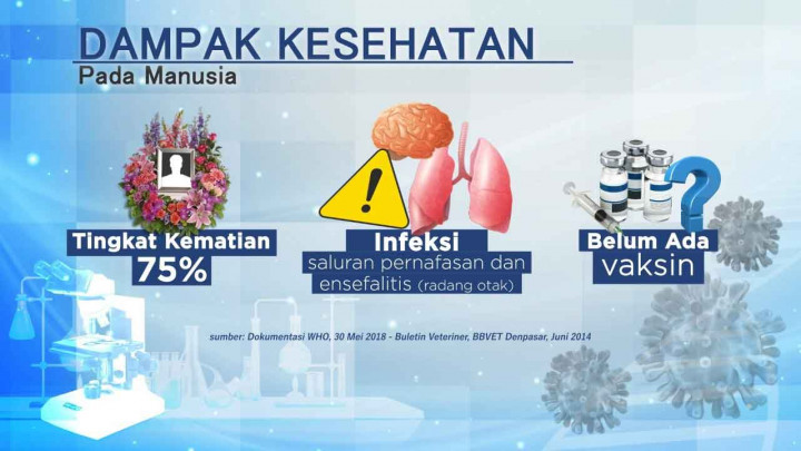 Virus Nipah Ancaman Baru Setelah Pandemi Covid 19
