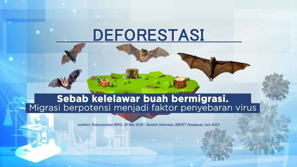 Virus Nipah, Ancaman Baru Setelah Pandemi Covid-19