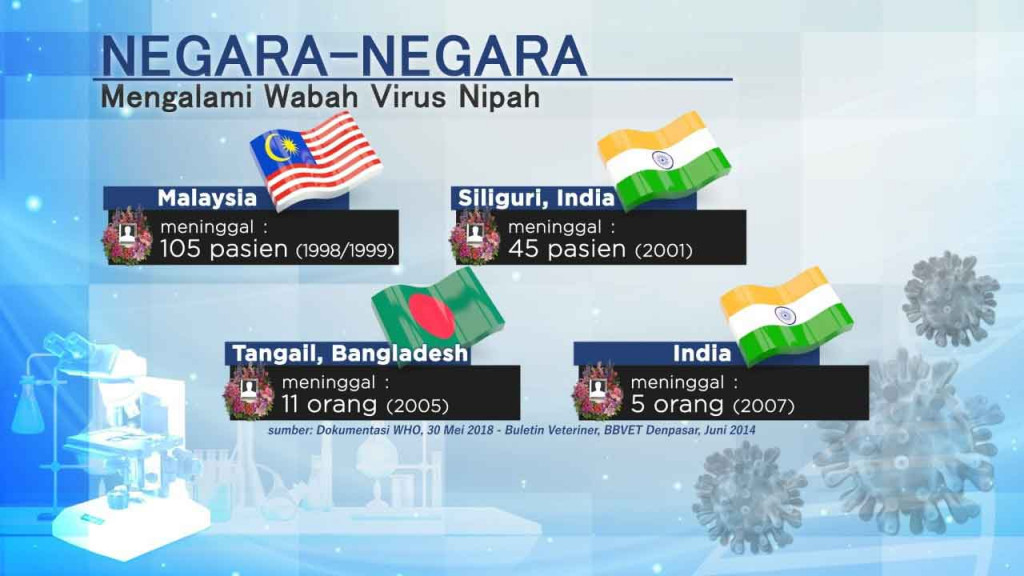 Virus Nipah, Ancaman Baru Setelah Pandemi Covid-19