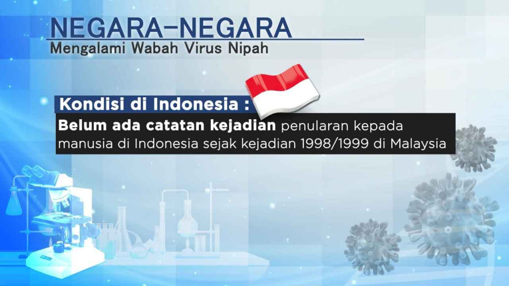 Virus Nipah, Ancaman Baru Setelah Pandemi Covid-19