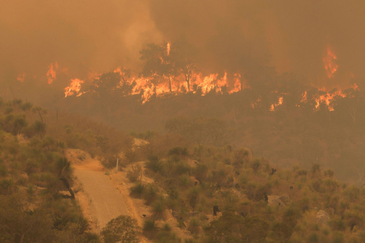 Kebakaran hutan yang berkobar di Brigadoon, luar kota Perth, Australia Barat, telah memaksa penduduk di dekatnya untuk mengungsi, sementara kota itu tetap dalam penguncian (lockdown) virus korona.