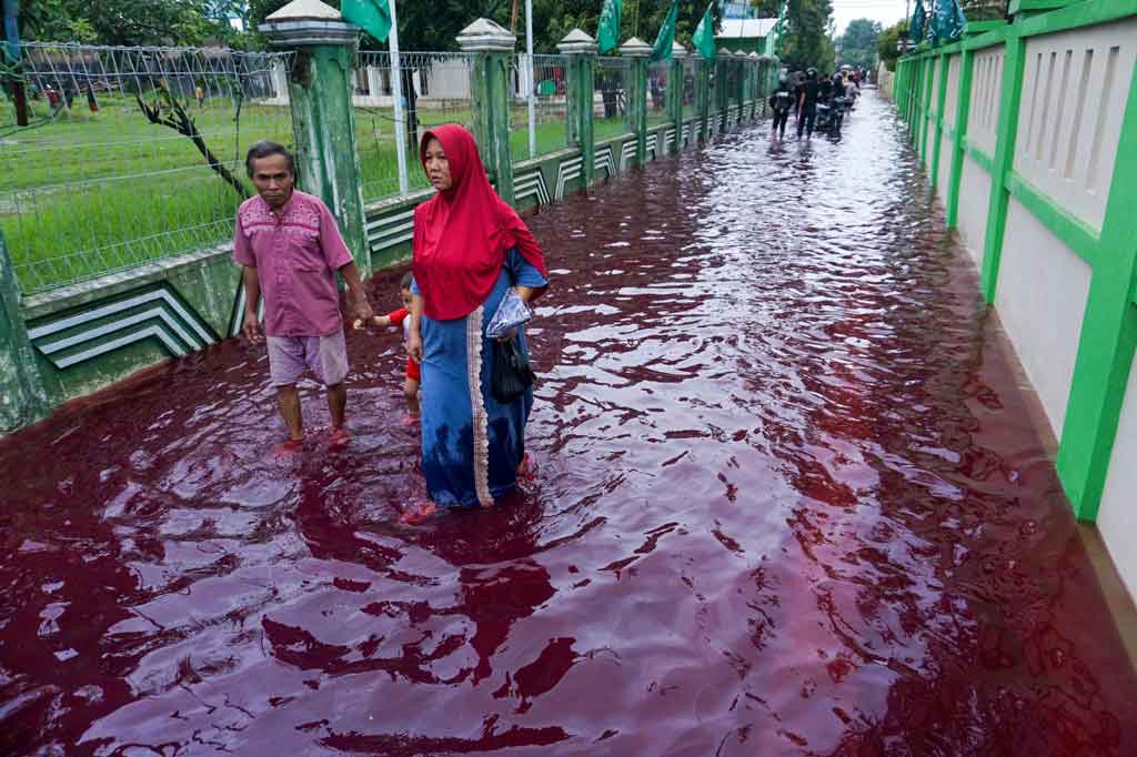 Warga melintasi ruas jalan yang digenangi banjir yang berwarna merah di Kelurahan Jenggot, Kecamatan Pekalongan Selatan, Kota Pekalongan, Jawa Tengah, Sabtu, 6 Februari 2021.
