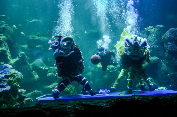 Dalam rangka memperingati Imlek 2021 Sea World Ancol mengadakan acara spesial yakni, Barongsai Underwater Show dengan tema Yin dan Yang Living in Harmoni. 