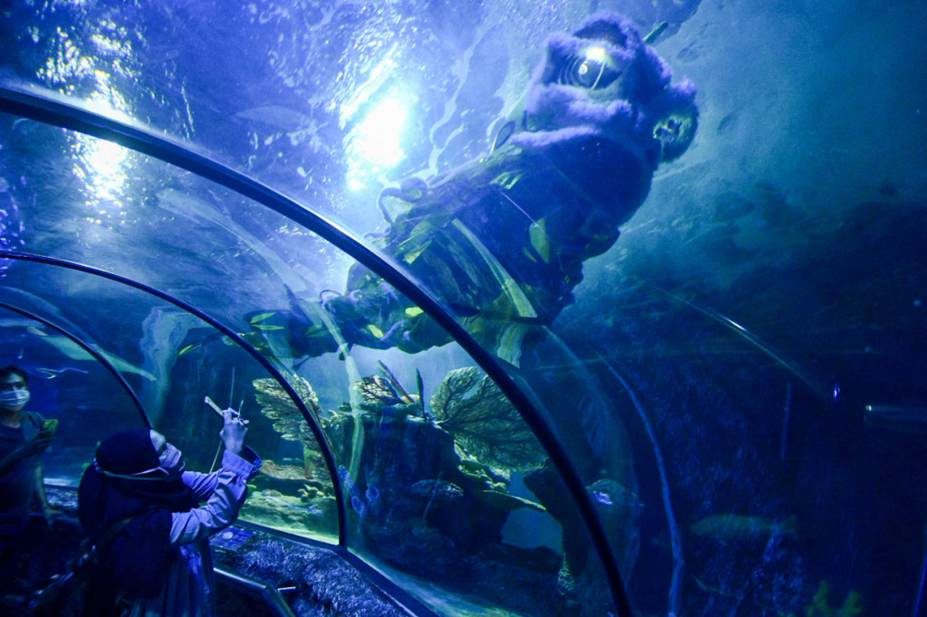 Aksi barongsai ini akan diselenggarakan pada 12-14 Februari pada pukul 13.30 WIB.