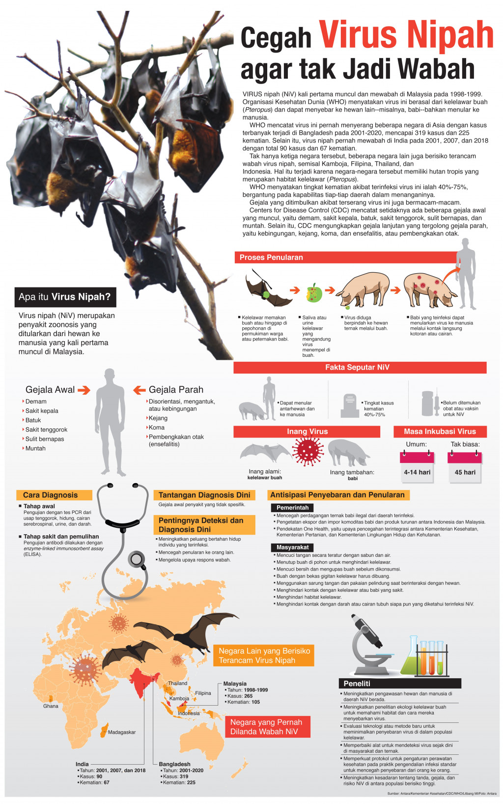Cegah Virus Nipah Agar Tak Jadi Wabah