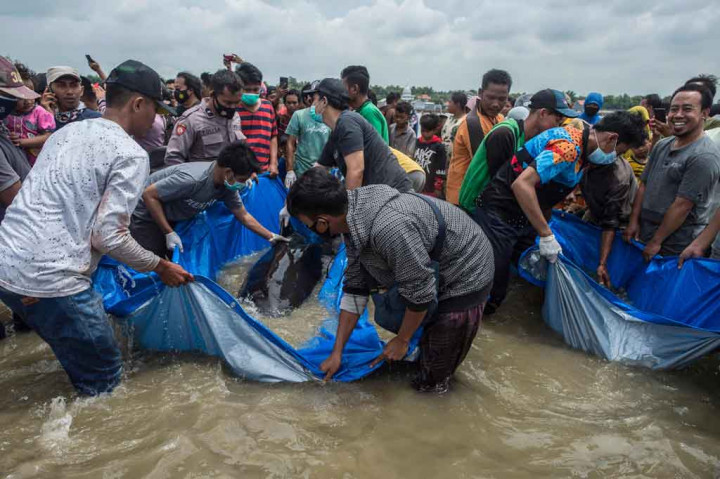 Warga berusaha menarik paus pilot yang terdampar di Pantai Modung, Bangkalan, Jawa Timur, Jumat, 19 Februari 2021.