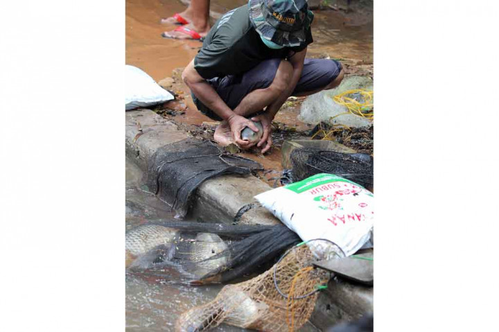 Warga memanfaatkan kesempatan dengan menjala ikan di tengah arus banjir yang turut menghanyutkan berbagai jenis ikan di sekitar lokasi tersebut.