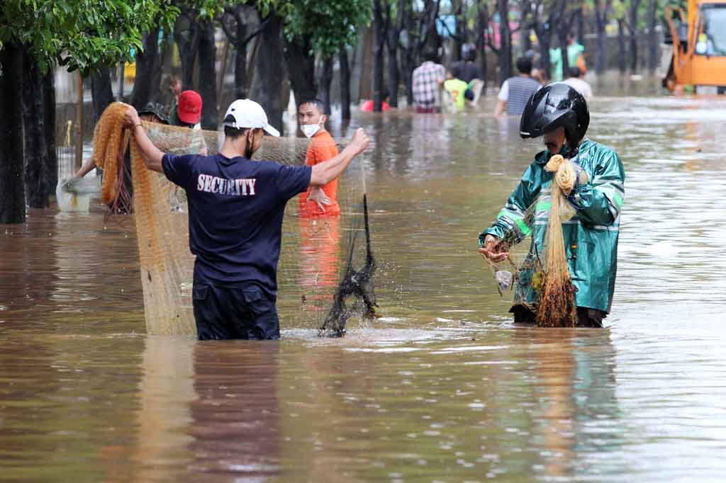 Ikan tersebut diperkirakan berasal dari kolam taman yang berada di kawasan Kementerian Pertanian, Jakarta Selatan yang turut hanyut akibat terendam banjir.