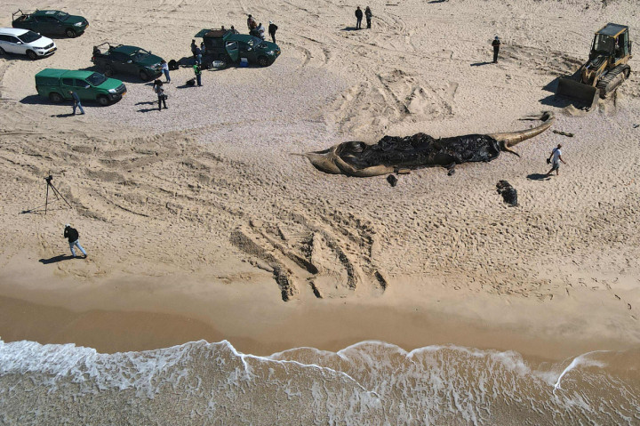 Goldstein menyerukan penyelidikan dan penuntutan terhadap mereka yang bertanggung jawab atas polusi tersebut.