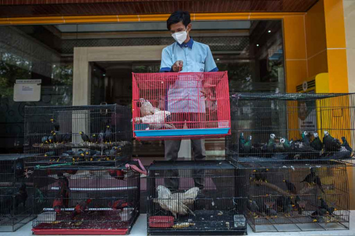 Kementerian Pertanian melalui Karantina Pertanian Surabaya berhasil menggagalkan penyelundupan 633 burung dan kura-kura asal Makassar tanpa dilengkapi dengan dokumen kesehatan dari daerah asal.