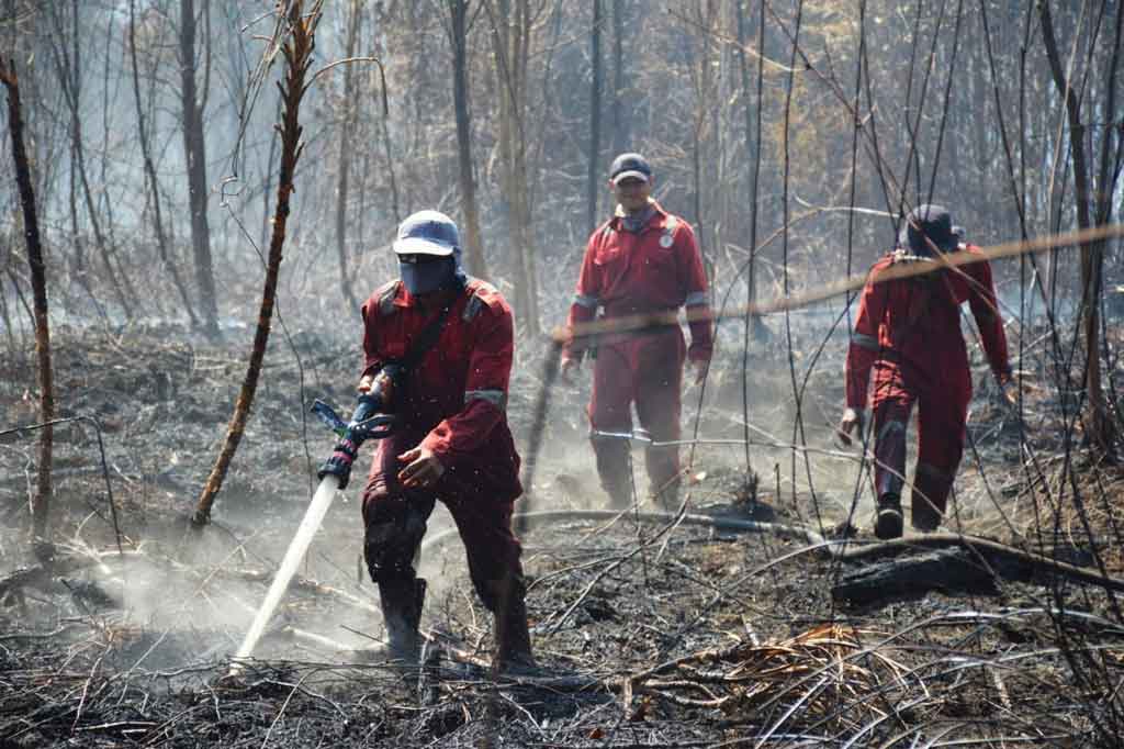 Lebih dari 100 hektare kawasan hutan rawa gambut suaka margasatwa (SM) Giam Siak Kecil (GSK) yang masuk dalam zona inti Cagar Biosfer GSK di Desa Bagan Benio, Kecamatan Talang Muandau, Kabupaten Bengkalis, Riau, terbakar hebat selama 11 hari terakhir.