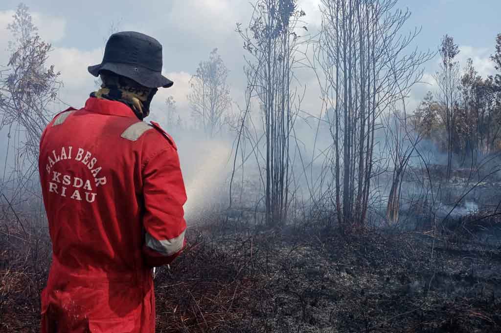 Selain melanda zona inti, kebakaran hutan dan lahan (Karhutla) secara sporadis itu juga terjadi di luar kawasan lindung tersebut. 