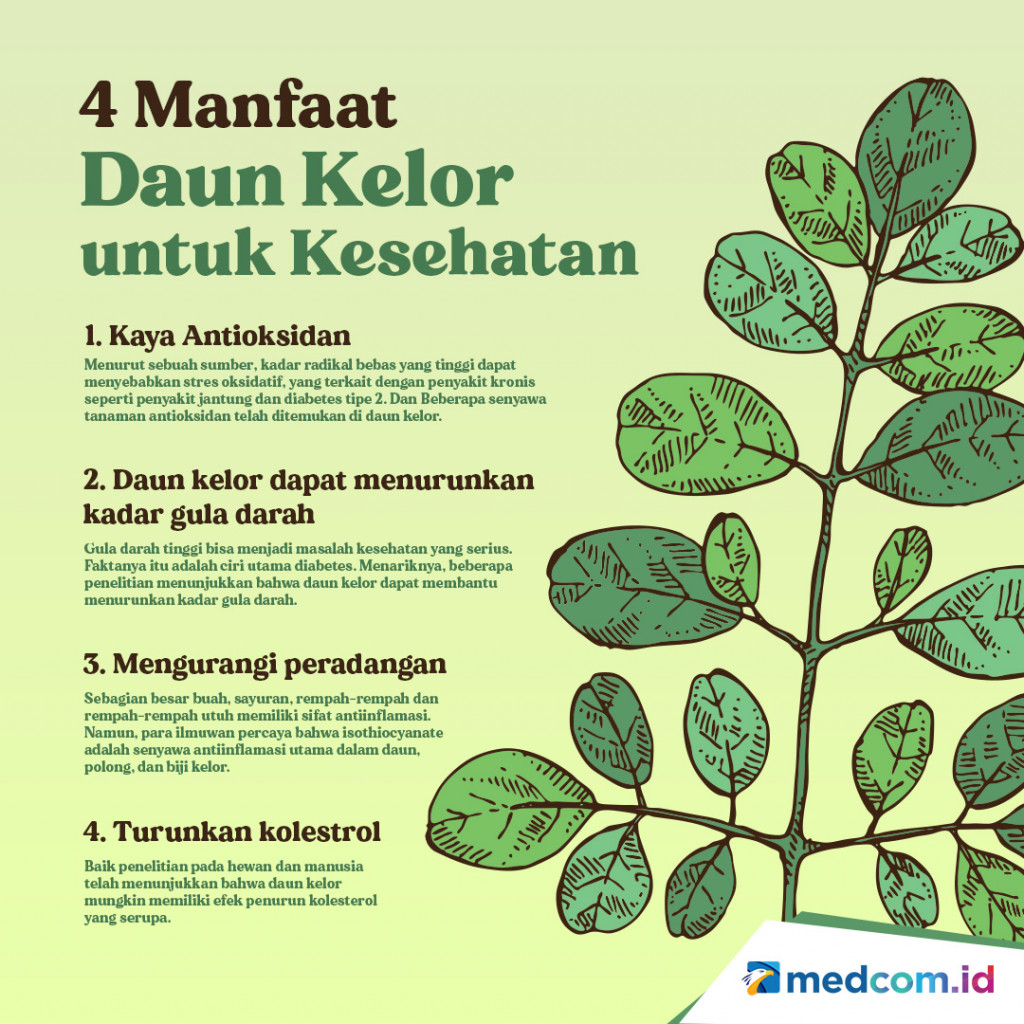 4 Manfaat Daun Kelor untuk Kesehatan